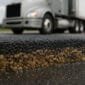 Concrete vs Resin Rock Driveways in Florida Which One Should You Choose
